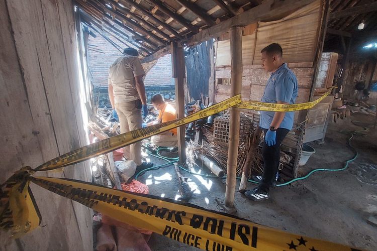 OLAH TKP—Tim Labfor Polda Jatim dan Inafis Satreskrim melakukan olah tempat kejadian perkara tewasnya Marijo yang ditemukan tak bernyawa terbakar di tumpukan kayu di Desa Sumbersari, Kecamatan Saradan, Kabupaten Madiun, Jawa Timur, Selasa (17/6/2025).