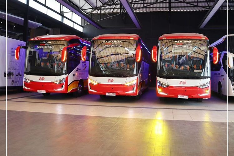 Tampang Bus Baru PO Vido Trans, divisi Pariwisata Gumarang Jaya