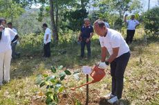 Kamu Bisa Ikut Peduli Lingkungan dengan Menanam Tanaman, Begini Caranya