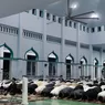 Puluhan Ribu Santri dan Alumni Lakukan Sujud Syukur di Peringatan 100 Tahun Gontor