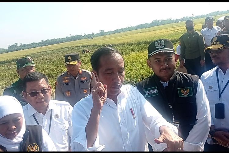 Presiden Jokowi panen bersama petani di Ngawi. Pemerintah akan segera menentukan harga gabah dimasa panen raya.