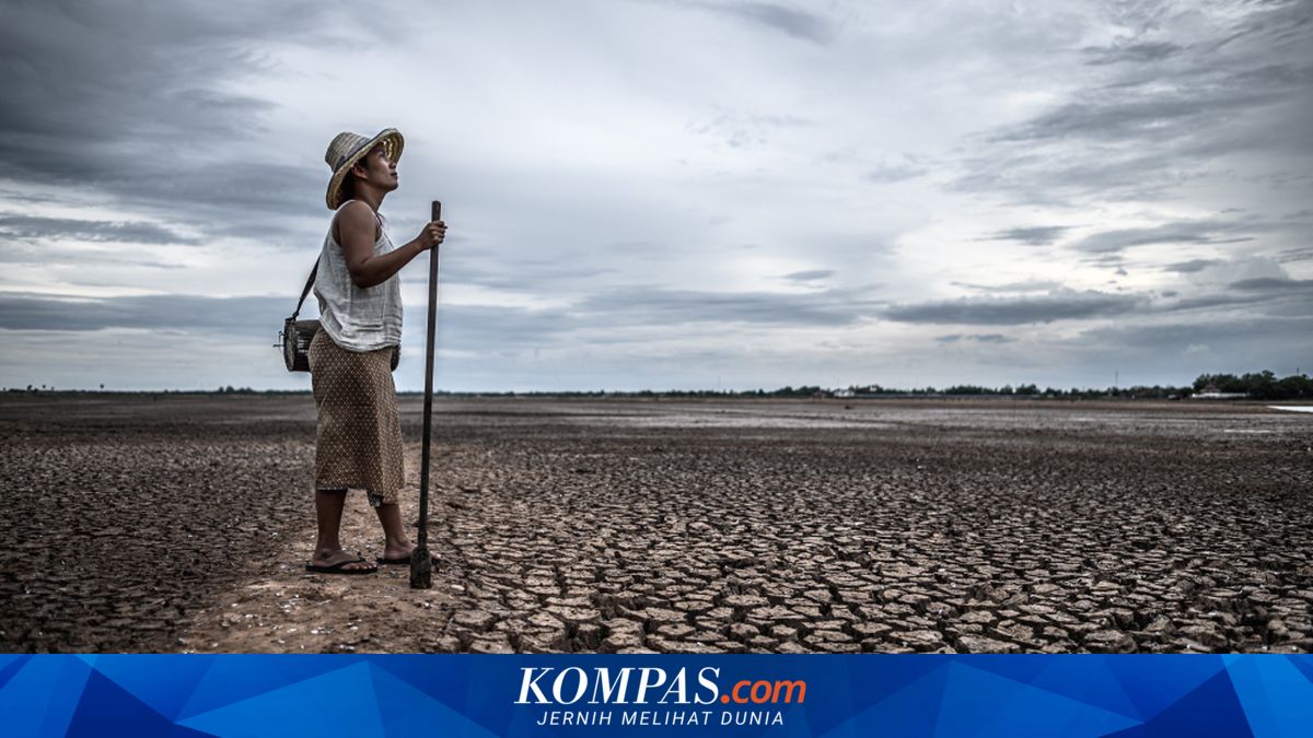 BMKG Juanda Prediksi 70 Persen Wilayah Jatim Masuk Puncak Kemarau pada Agustus ~RK

Baca di sini: