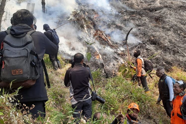 Penyebab Kebakaran Hutan Gunung Bromo Masih Misterius, TNBTS Prioritaskan Pemadaman