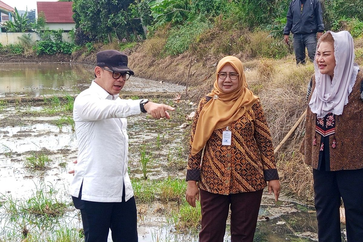 Dampak Normalisasi Sungai, 80 Hektar Lahan Pertanian Semarang Kehilangan Air