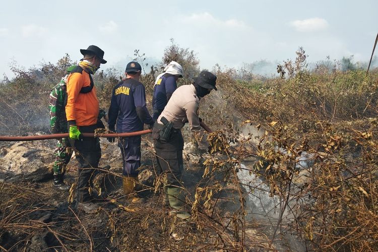 Tim Satgas Kerhutla terlihat berjibaku memadamkan api yang membakar hutan dan lahan di Lingga.