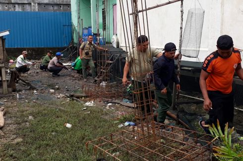 Harimau Sumatera yang Terjebak di Lorong Ruko di Inhil Riau Ditembak Bius