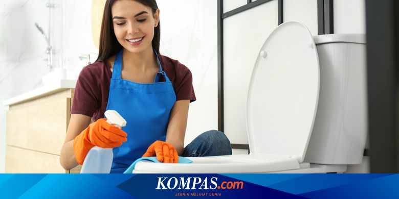 Cara Membersihkan Dudukan Kloset yang Bernoda