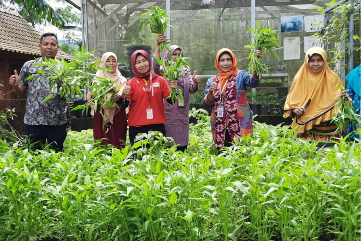 Kegiatan di Kampung Alfamart Sahabat Bumi Semarang. 
