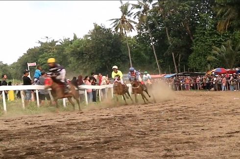Menpora Ingin Tradisi Pacuan Kuda di Ambal Kebumen Jadi Ikon Jawa Tengah 