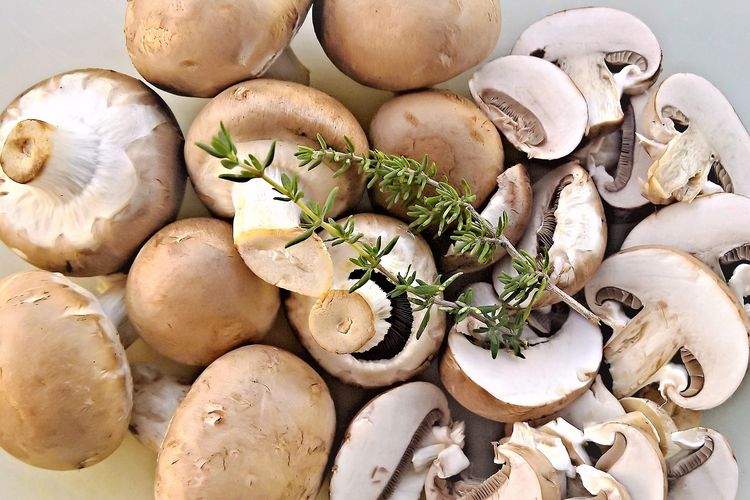 Ilustrasi jamur champignon atau jamur kancing. 