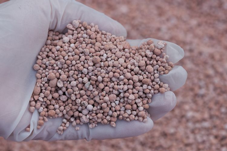 Ilustrasi pupuk NPK. 