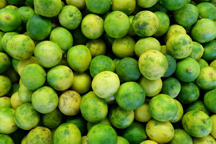 Ilustrasi jeruk limau. 