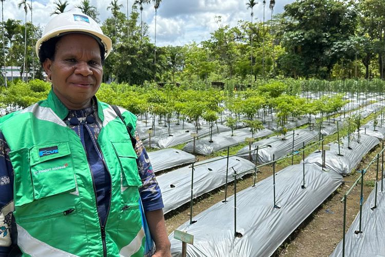 Tina Komangal, perempuan Suku Amungme, asal Kampung Waa Banti, Distrik Tembagapura, Mimika, sejak 2012 bekerja sebagai kontraktor di PT Freeport Indonesia (PTFI). Ia bersama delapan karyawannya mengelola pertanian dan penghijauan di area Pusat Reklamasi dan Keanekaragaman Hayati PTFI.
