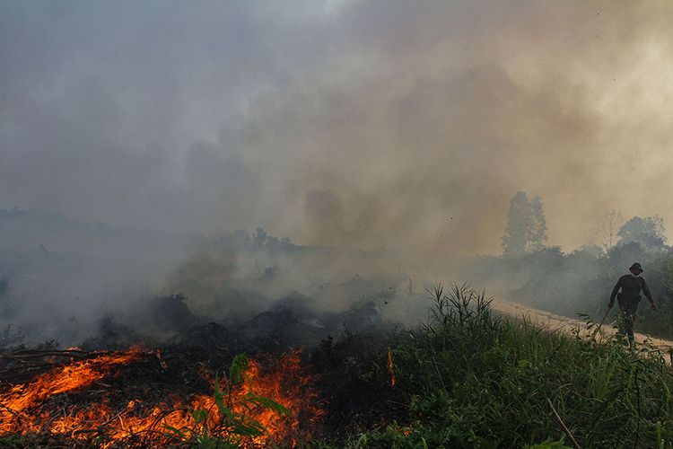 Prajurit TNI dari Kodim 0301 Pekanbaru mencari sumber air ketika berusaha memadamkan kebakaran lahan gambut di Pekanbaru, Riau, Sabtu (7/9/2019). Kebakaran lahan gambut yang masih terus terjadi membuat Kota Pekanbaru dan sejumlah kabupaten lainnya di Provinsi Riau kembali terpapar kabut asap.