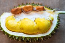 Jangan Dibuang, Ini Manfaat Biji Durian untuk Kesehatan