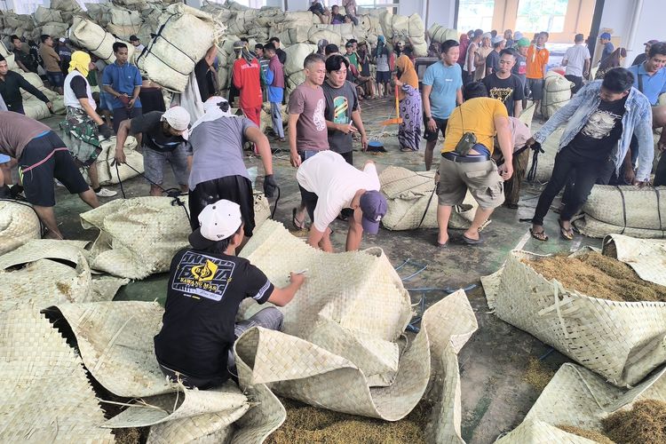 Beli Tembakau Harga Tinggi, Gudang Haji Her Diserbu Petani dan Bandol di Pamekasan