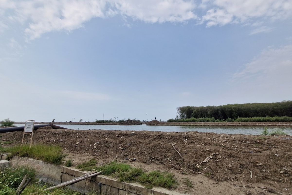 Puluhan Hektare Mangrove Tergusur Proyek Tol Semarang-Demak, Ekosistem Laut dan Nelayan Terancam