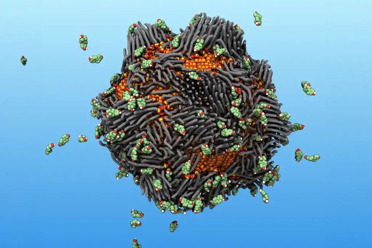 Dalam ilustrasi ini, nanopartikel karat pintar menarik dan menjebak molekul estrogen, yang diwakili oleh benda mengambang. 