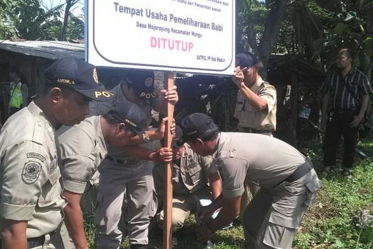 Foto : Anggota Satuan Polisi Pamong Praja Kabupaten Madiun memasang plang papan penutupan usaha ternak babi di Desa Mojorayung,Kecamatan Wungu Kabupaten Madiun, Senin (6/2/2017). 