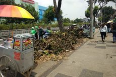 Sampah Pohon Dibiarkan di Trotoar Stasiun Pasarminggu untuk Usir Ojek, Kenyataannya...