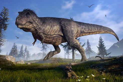 Spesies Dinosaurus Baru, Pemburu Fosil Inggris Temukan Tulang Sepupu T.rex