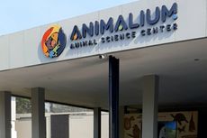 5 Spot Foto Instagramable di Animalium BRIN, Bisa di Habitat Buatan