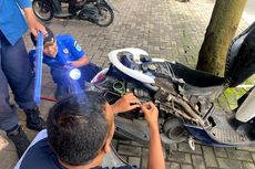 Tips Menghalau Ular Agar Tak Bersarang di Mobil dan Motor