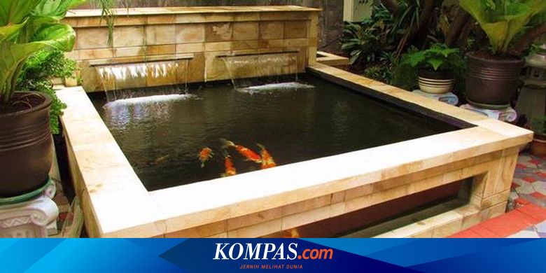 Posisi Kolam Ikan Koi Dan Keberuntungan Halaman All Kompas Com
