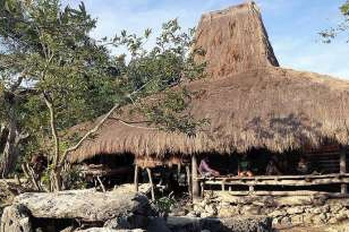 Suasana Desa Adat Wunga, Kecamatan Haharu, Sumba Timur, pekan lalu. Desa yang berada di atas bukit kapur dan ada banyak kubur batu tua itu dipercaya warga Sumba sebagai kampung pertama nenek moyang mereka. Studi genetika menemukan, Wunga memiliki keragaman genetik paling lengkap di seluruh Sumba sehingga diduga orang Sumba berasal dari desa itu. 