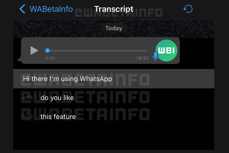 Jendela transkrip di WhatsApp iOS yang memuat hasil transkripsi voice note.