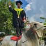 Lulusan Univet Bantara Sukoharjo Ini Tunggangi Sapi Saat Wisuda