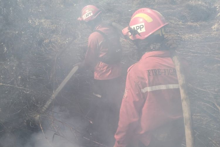 Karhutla Mengarah ke Areal HTI di Riau, Tim Pemadam dan 2 Helikopter Dikerahkan