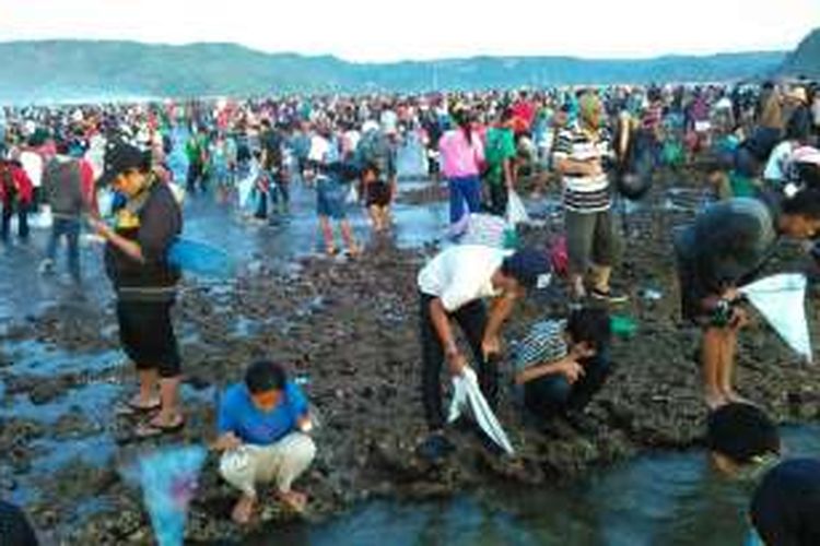 Ribuan warga membanjiri Pantai Seger di Kecamatan Pujut, Kabupaten Lombok Tengah, NTB, Minggu (28/2/2016), untuk merayakan tradisi 'Bau Nyale'.