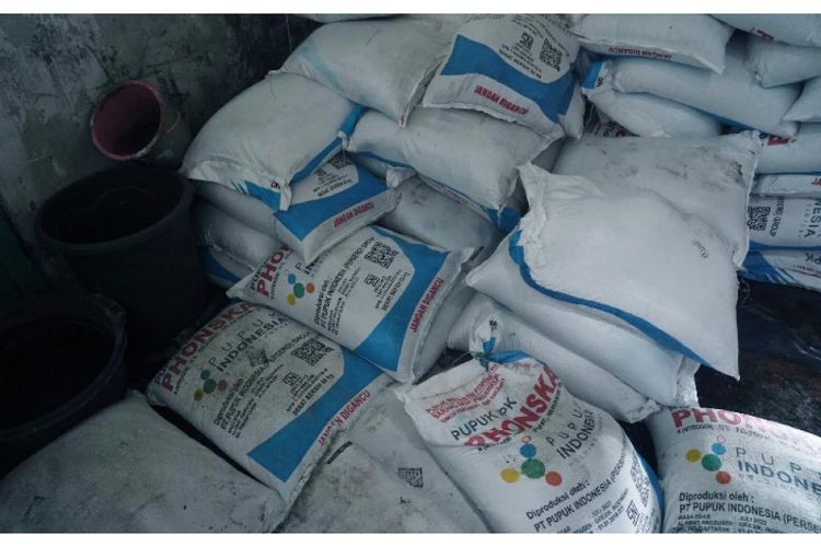 Dengan tambahan alokasi pupuk subsidi, produksi padi Sumsel saat ini sebesar 2.832.744 ton gabah kering giling (GKG) dengan provitas 56,19 ku/ha bakal meningkat.