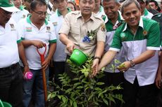 3,5 Juta Hektar Hutan Indonesia Rusak Tiap Tahun