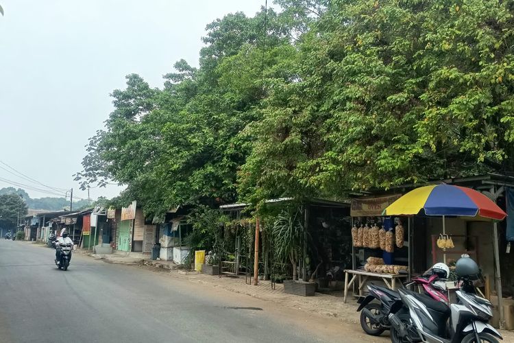 PKL Bakal Ditertibkan Imbas Pembangunan Turap di Tangsel, 