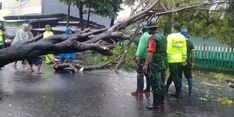 Pemprov Sulut Gerak Cepat Tangani Korban Banjir dan Longsor