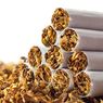Revisi Aturan Pengendalian Rokok Dinilai Tidak Transparan