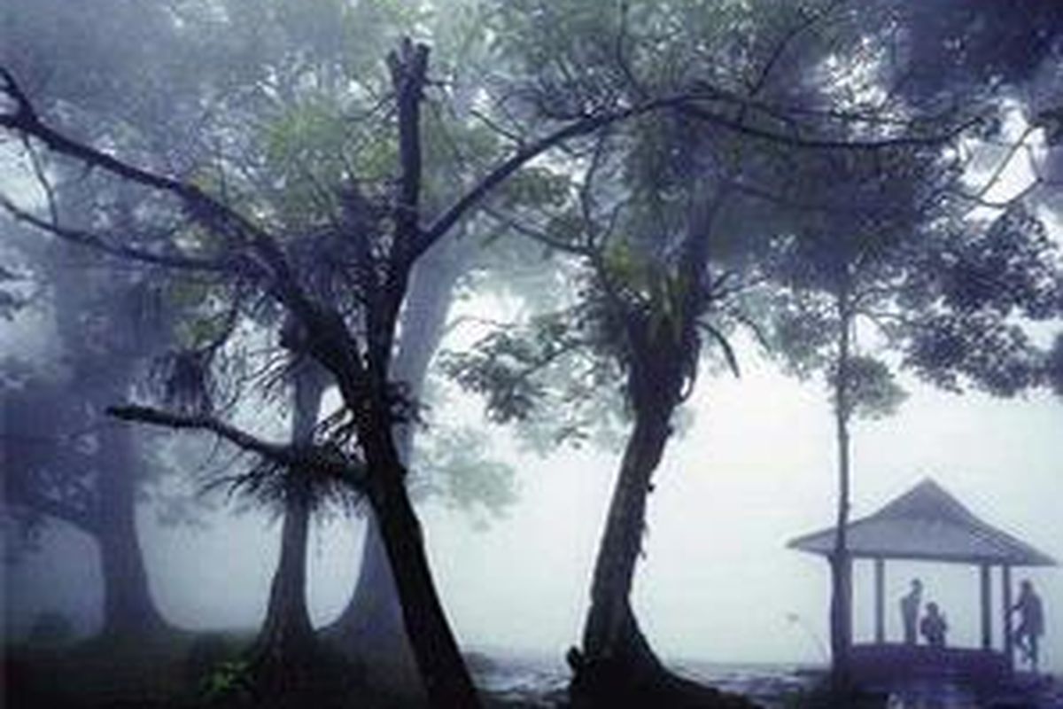 Kabut tebal menyelimuti kawasan Telaga Warna di Cisarua, Bogor, Jawa Barat, beberapa waktu lalu. Kabut yang datang sepanjang hari dan hujan ringan hingga lebat mendera kawasan tersebut sejak dua minggu terakhir ini. 