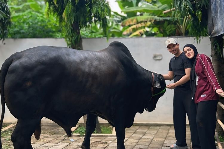 Sonny Septian Unggah Foto Sapi Kurban Hadiah dari Raffi Ahmad 