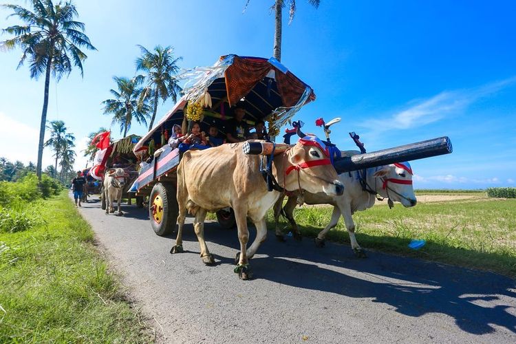 Mau Lihat Bajingan, Kunjungi Festival Pegon Waton di Jember 28 Maret 2026