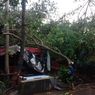 5 Pohon Tumbang di Tangsel Imbas Hujan Deras dan Angin Kencang, Timpa Warga hingga Tutup Akses Jalan