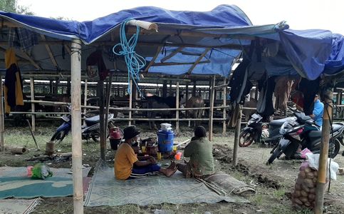 Number of Refugees Fleeing Mount Merapi's Slopes Surges