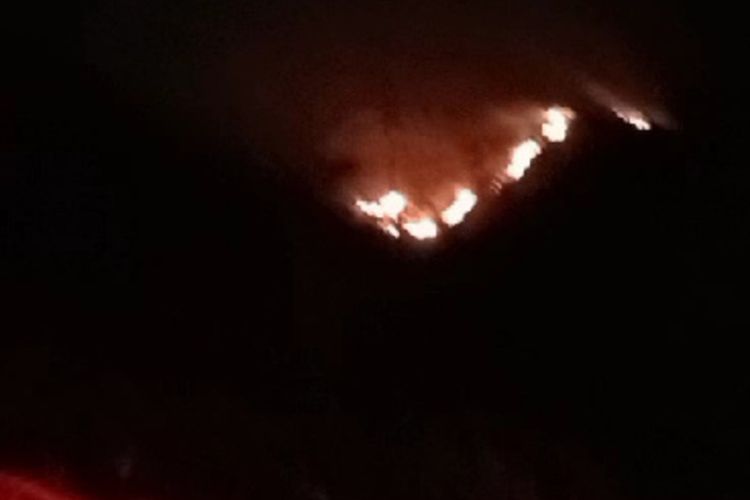 Sejumlah warga bersama petugas saat tengah memadamkan api di Gunung Singa, Kecamatan Kutawaringin, Kabupaten Bandung, Jawa Barat pada Jumat (11/8/2023)