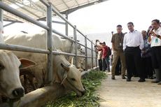 Terobosan Mentan Amran Dinilai Majukan Pertumbuhan Ekonomi Pedesaan