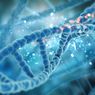 Penerapan Teknologi Rekayasa Genetika Pada Manusia