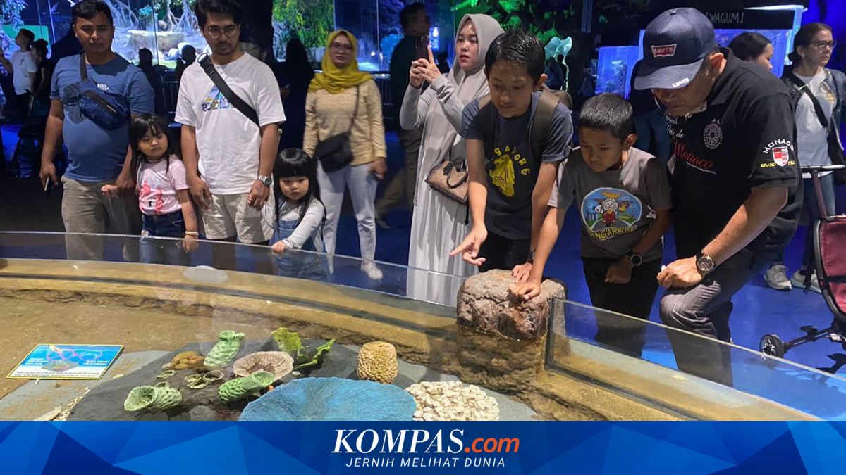 Promo Liburan Sekolah Sea World Ancol 2026, Beli 4 Gratis 1 Tiket