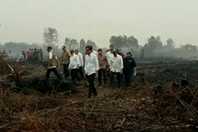 Presiden Jokowi meninjau karhutla di Desa Merbau, Kecamatan Bunut, Kabupaten Pelalawan, Riau, Selasa (17/9/2019).