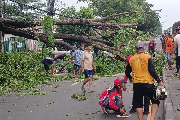 Pohon dan Tiang Listrik Roboh di Jalur Surabaya-Malang Dipinggirkan, Listrik Masih Padam