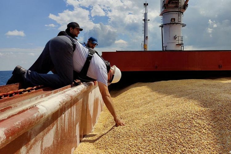 Inspeksi kapal kargo yang mengangkut jagung dari Ukraina di Laut Hitam, Turkiye, 3 Agustus 2022.